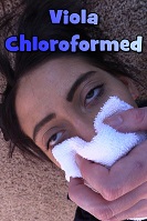 Viola Chloroformed