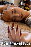 Ditria Knocked Out 2
